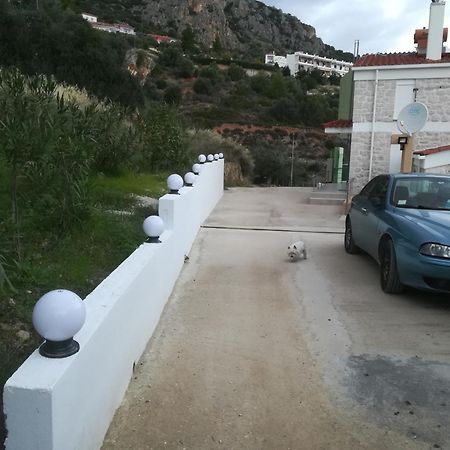 Stone House In Olive Grove Villa Tolo Exterior photo