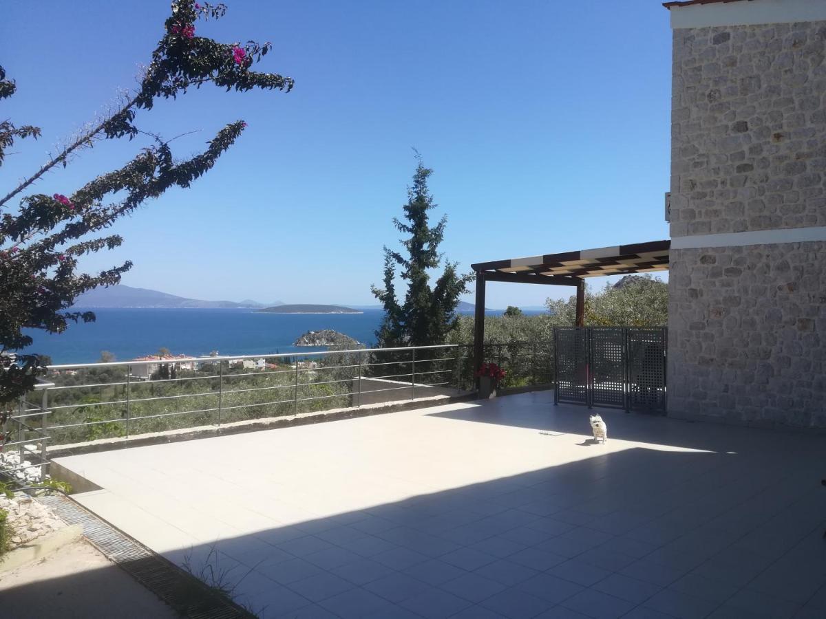 Stone House In Olive Grove Villa Tolo Exterior photo