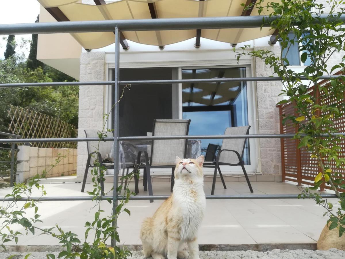 Stone House In Olive Grove Villa Tolo Exterior photo