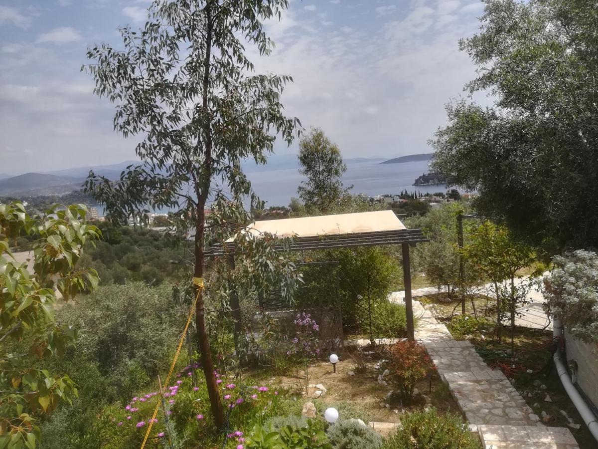 Stone House In Olive Grove Villa Tolo Exterior photo