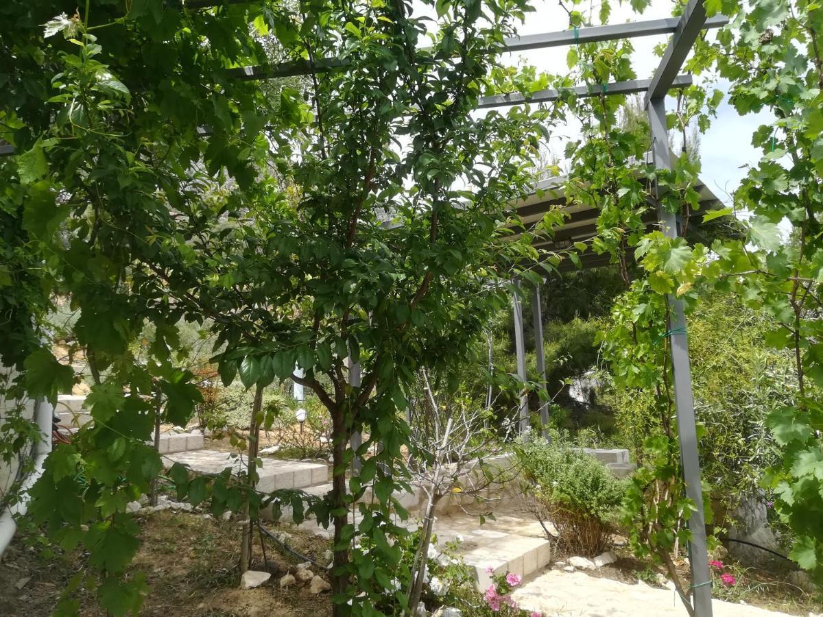 Stone House In Olive Grove Villa Tolo Exterior photo