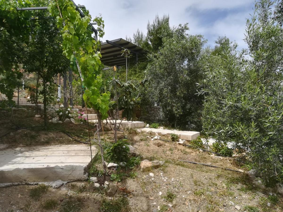 Stone House In Olive Grove Villa Tolo Exterior photo