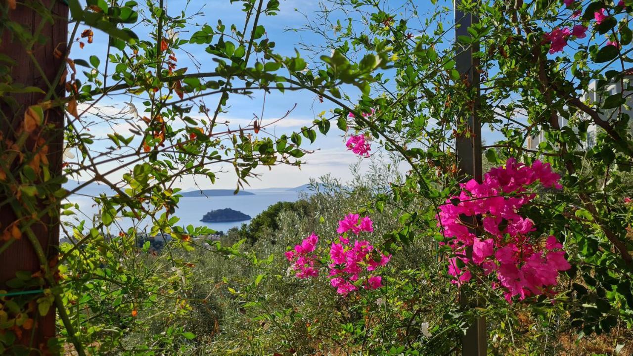 Stone House In Olive Grove Villa Tolo Exterior photo