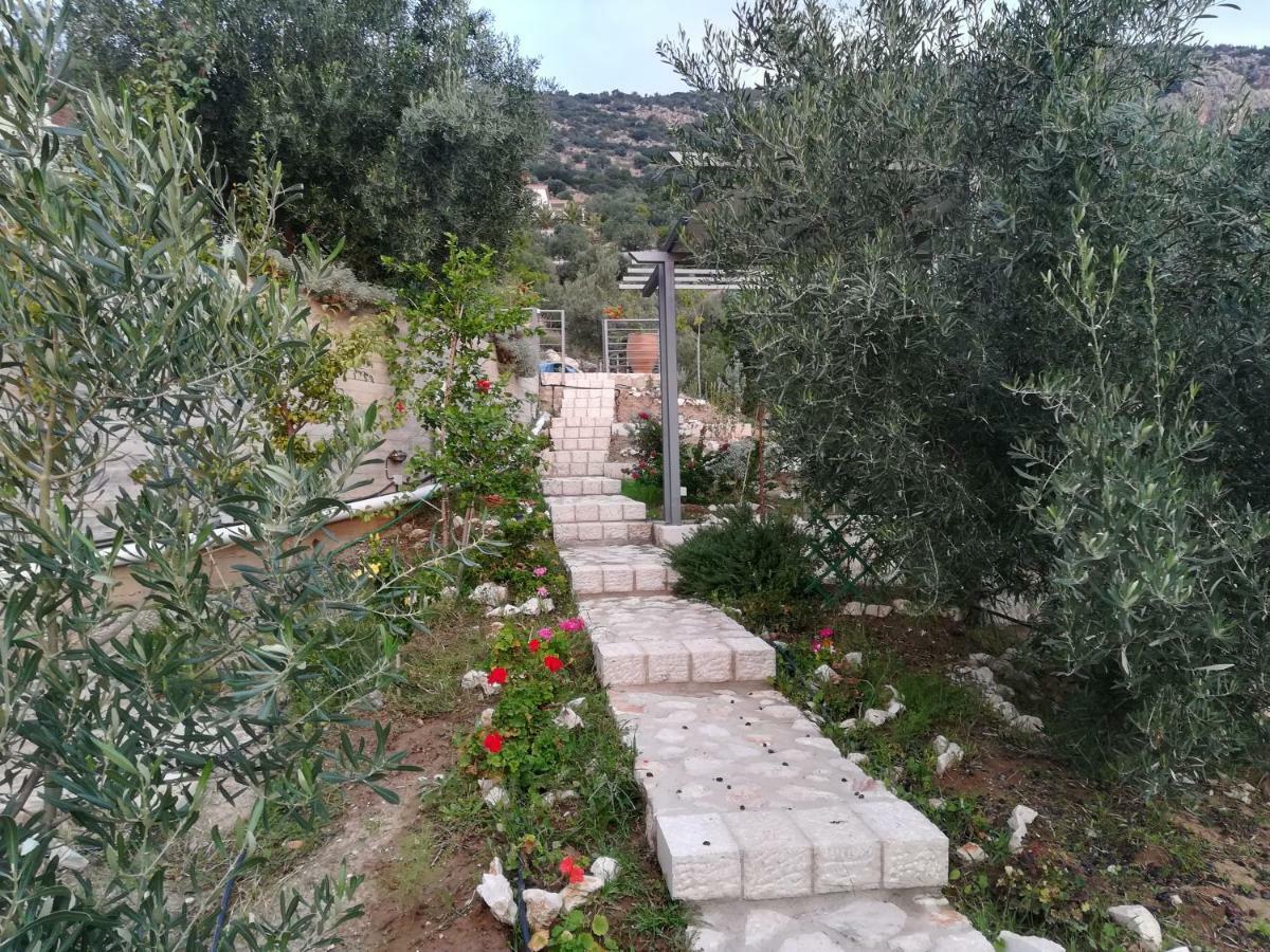 Stone House In Olive Grove Villa Tolo Exterior photo